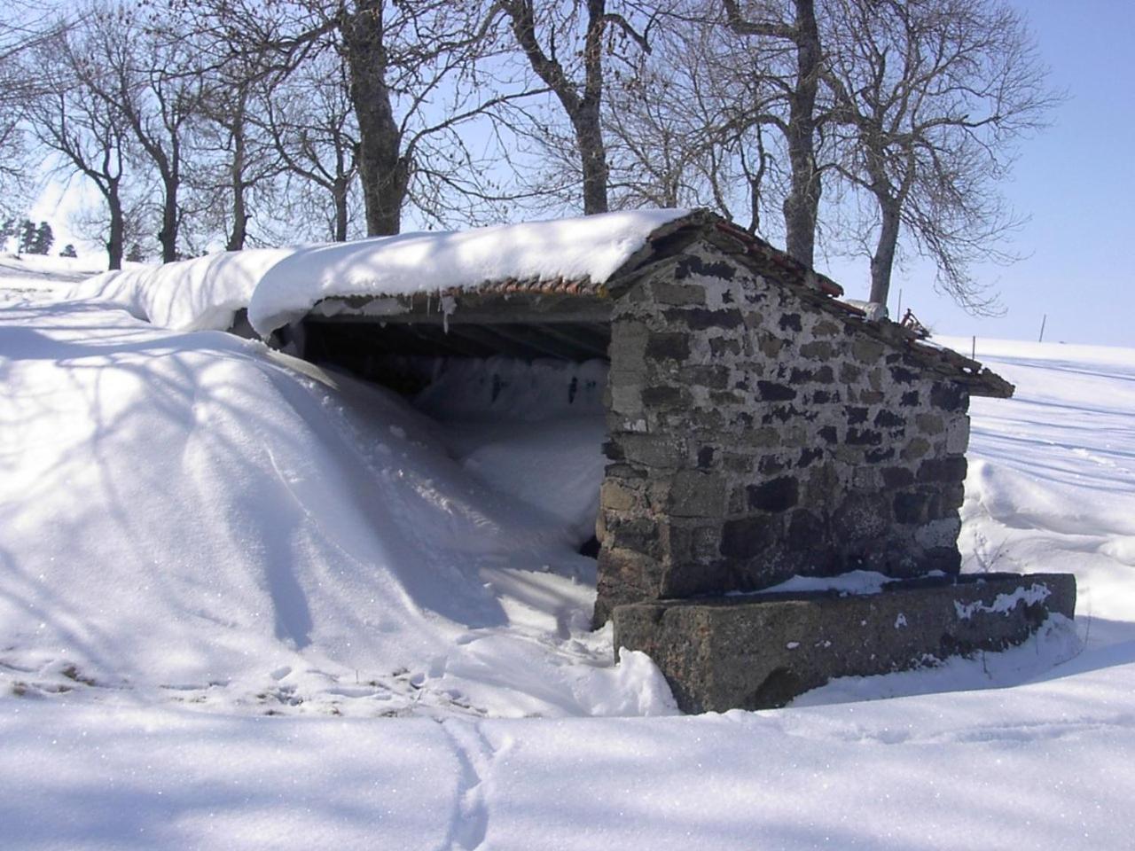 Maison De Famille Au Plateau Du Mezenc Les Vastres Екстериор снимка